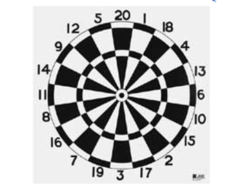 Boogschiet Dart Blazoen Zwart/Wit