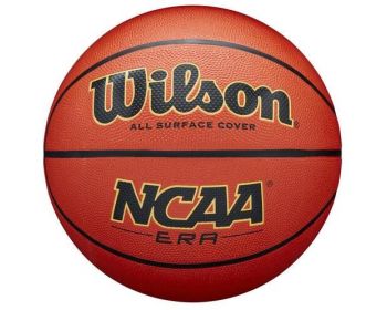 Basketbal Wilson Era maat 6